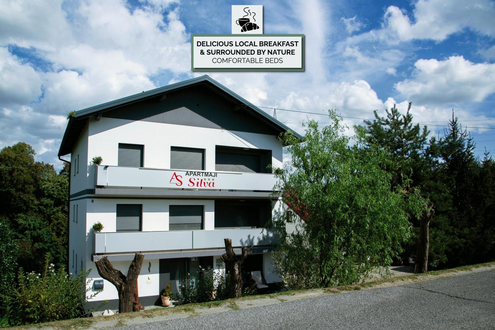 Apartments Silva Ljutomer Εξωτερικό φωτογραφία